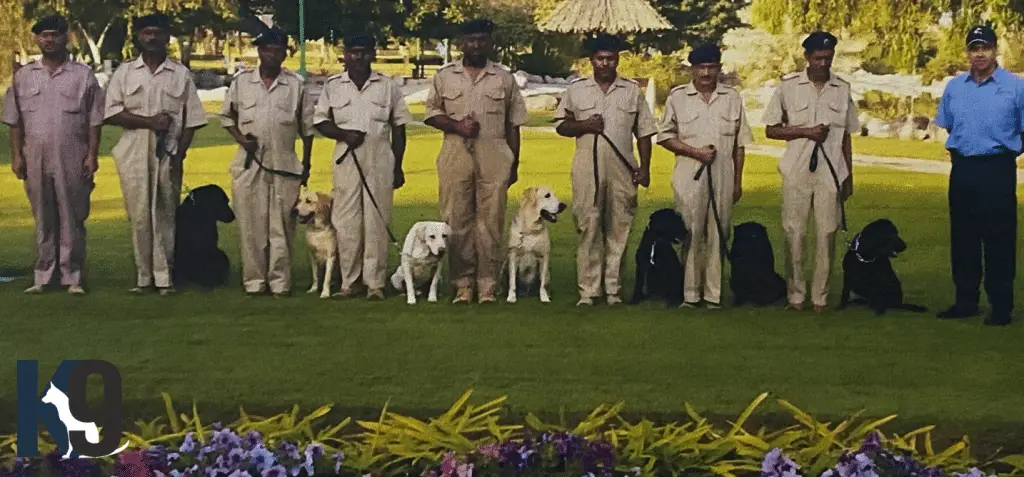 Royal Oman Police Dog Training for Detection - Protection and TrackingOman