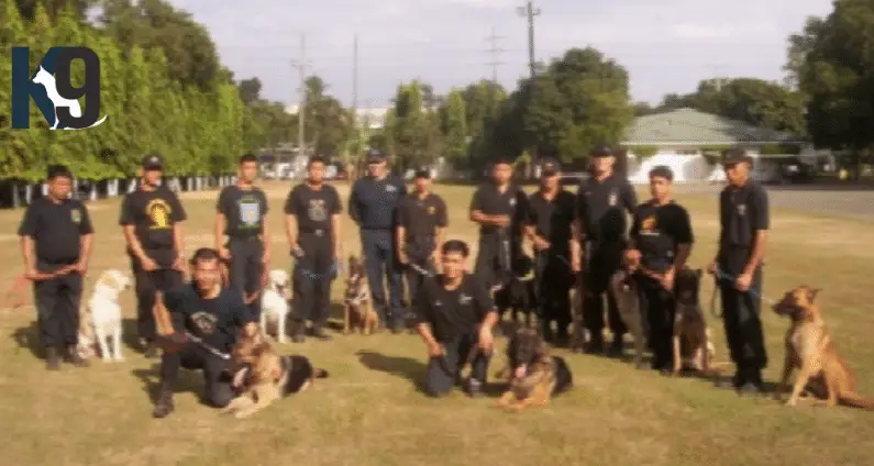 Military Police Dog Training Philippines